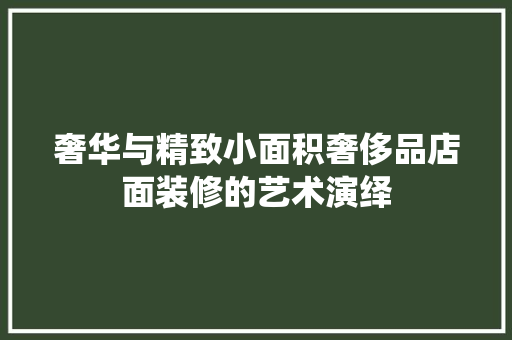 奢华与精致小面积奢侈品店面装修的艺术演绎