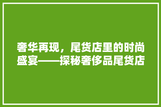 奢华再现，尾货店里的时尚盛宴——探秘奢侈品尾货店装修效果图