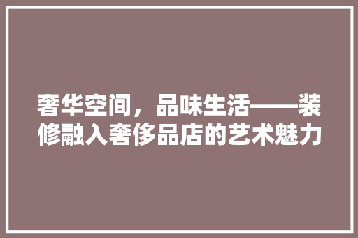 奢华空间，品味生活——装修融入奢侈品店的艺术魅力