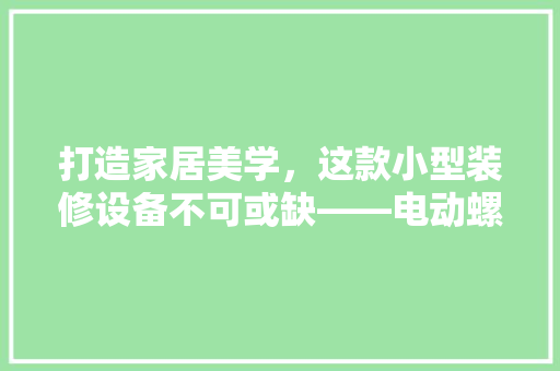 打造家居美学，这款小型装修设备不可或缺——电动螺丝刀