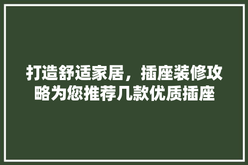 打造舒适家居，插座装修攻略为您推荐几款优质插座