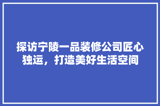 探访宁陵一品装修公司匠心独运，打造美好生活空间