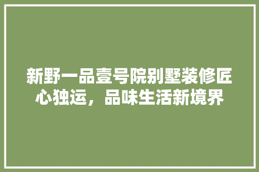 新野一品壹号院别墅装修匠心独运，品味生活新境界
