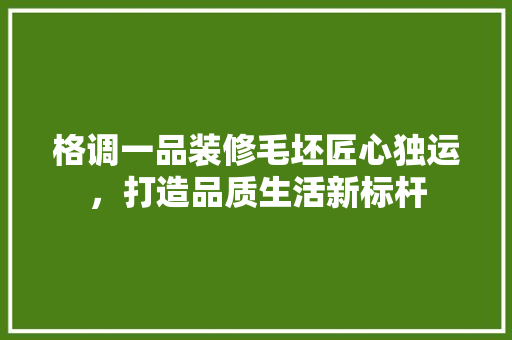 格调一品装修毛坯匠心独运，打造品质生活新标杆
