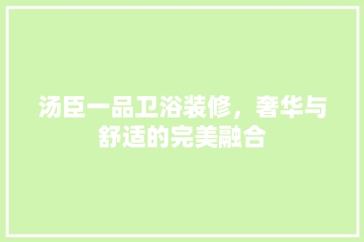 汤臣一品卫浴装修，奢华与舒适的完美融合