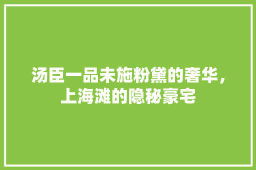 汤臣一品未施粉黛的奢华，上海滩的隐秘豪宅
