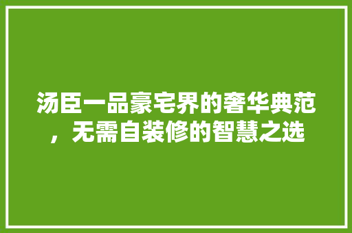 汤臣一品豪宅界的奢华典范，无需自装修的智慧之选