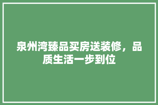 泉州湾臻品买房送装修，品质生活一步到位