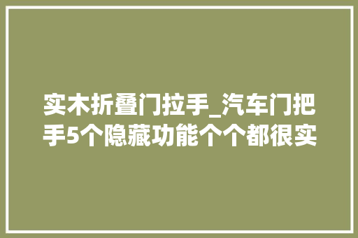 实木折叠门拉手_汽车门把手5个隐藏功能个个都很实用学会后开车更安然