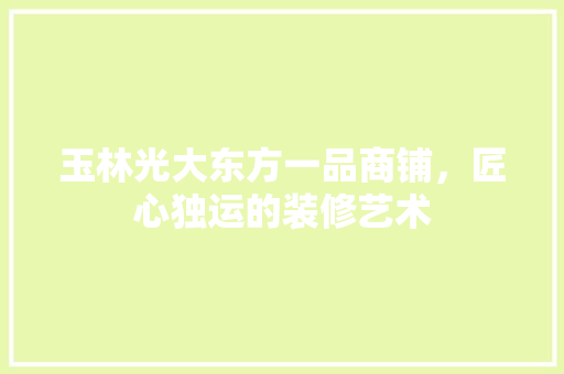 玉林光大东方一品商铺，匠心独运的装修艺术