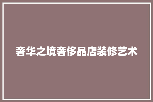 奢华之境奢侈品店装修艺术