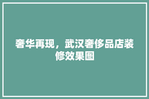 奢华再现，武汉奢侈品店装修效果图