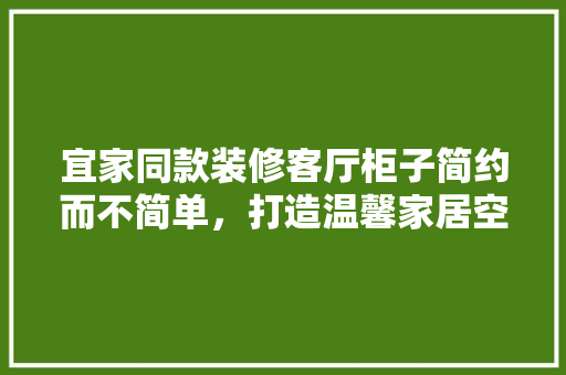宜家同款装修客厅柜子简约而不简单，打造温馨家居空间