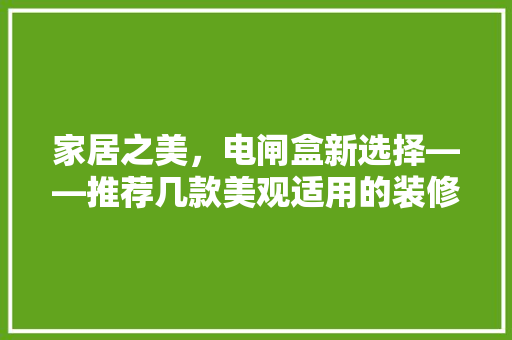 家居之美，电闸盒新选择——推荐几款美观适用的装修电闸盒