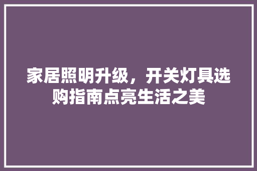 家居照明升级，开关灯具选购指南点亮生活之美