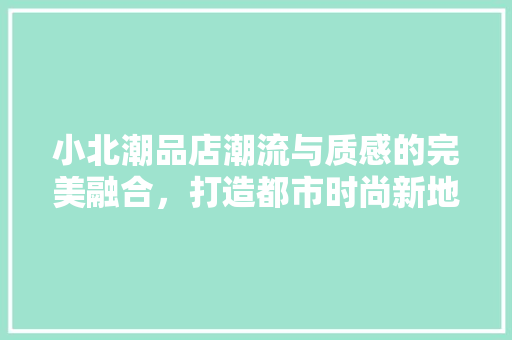 小北潮品店潮流与质感的完美融合，打造都市时尚新地标