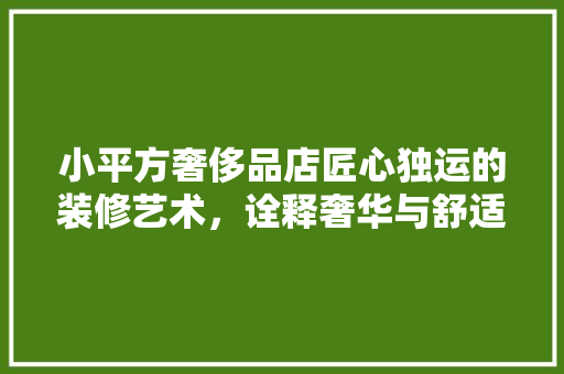 小平方奢侈品店匠心独运的装修艺术，诠释奢华与舒适的完美融合