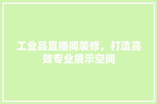 工业品直播间装修，打造高效专业展示空间