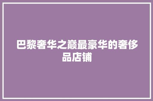 巴黎奢华之巅最豪华的奢侈品店铺