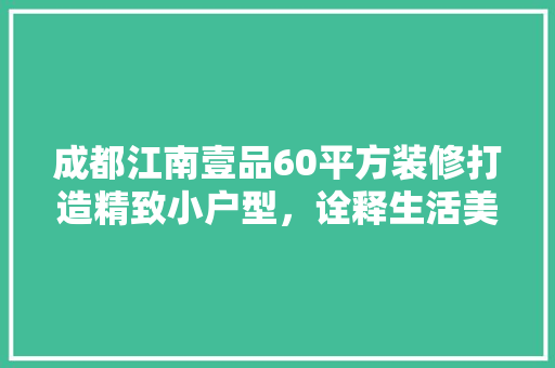 成都江南壹品60平方装修打造精致小户型，诠释生活美学