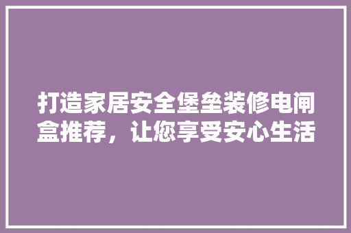 打造家居安全堡垒装修电闸盒推荐，让您享受安心生活
