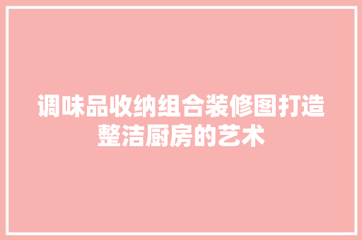 调味品收纳组合装修图打造整洁厨房的艺术