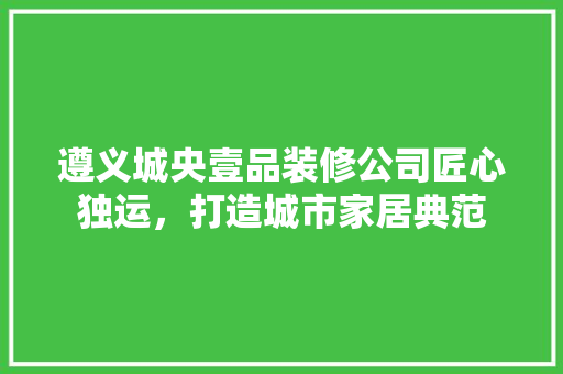 遵义城央壹品装修公司匠心独运，打造城市家居典范