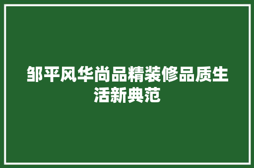 邹平风华尚品精装修品质生活新典范