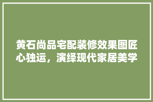 黄石尚品宅配装修效果图匠心独运，演绎现代家居美学