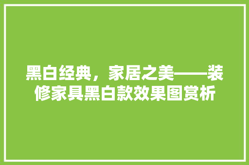 黑白经典，家居之美——装修家具黑白款效果图赏析