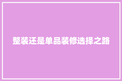 整装还是单品装修选择之路
