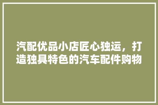 汽配优品小店匠心独运，打造独具特色的汽车配件购物空间