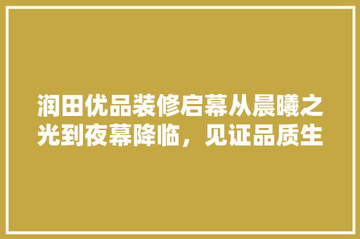 润田优品装修启幕从晨曦之光到夜幕降临，见证品质生活新篇章