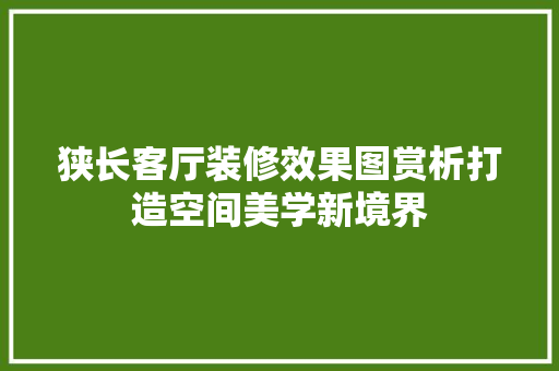 狭长客厅装修效果图赏析打造空间美学新境界