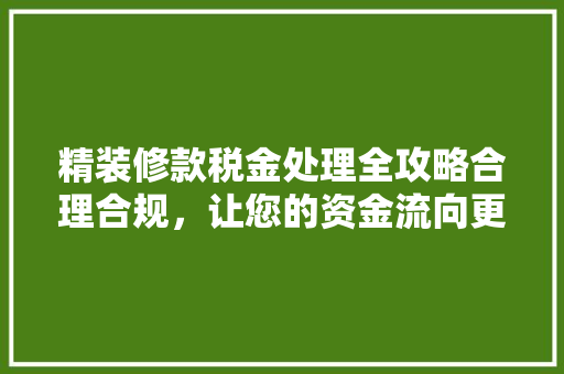 精装修款税金处理全攻略合理合规，让您的资金流向更清晰