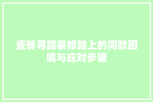 瓷砖寻踪装修路上的同款困境与应对步骤