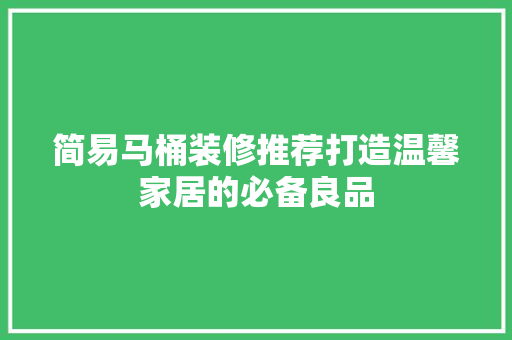 简易马桶装修推荐打造温馨家居的必备良品