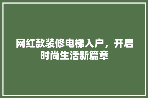 网红款装修电梯入户，开启时尚生活新篇章