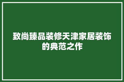 致尚臻品装修天津家居装饰的典范之作