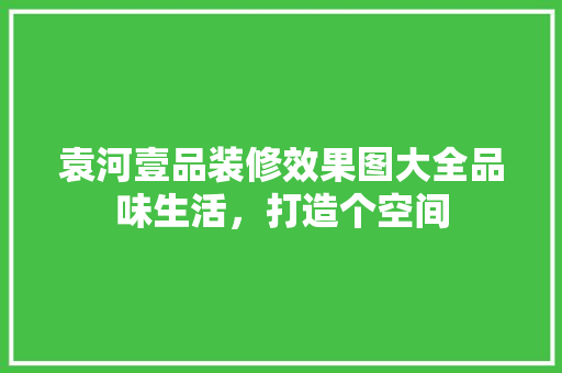 袁河壹品装修效果图大全品味生活，打造个空间