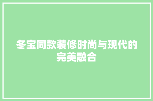 冬宝同款装修时尚与现代的完美融合