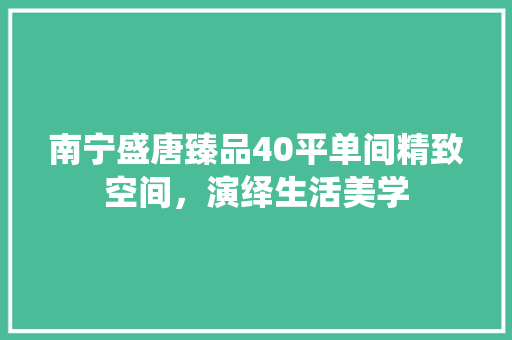 南宁盛唐臻品40平单间精致空间，演绎生活美学