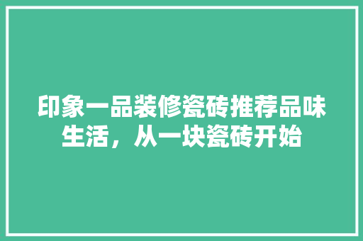 印象一品装修瓷砖推荐品味生活，从一块瓷砖开始