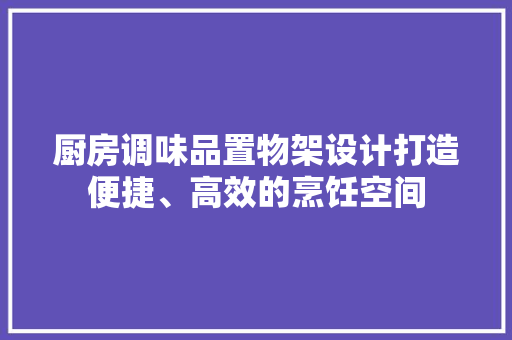 厨房调味品置物架设计打造便捷、高效的烹饪空间