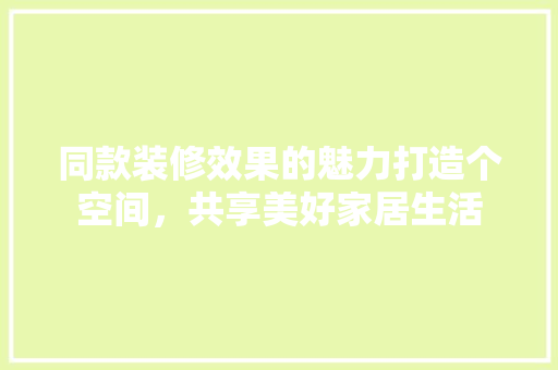 同款装修效果的魅力打造个空间，共享美好家居生活
