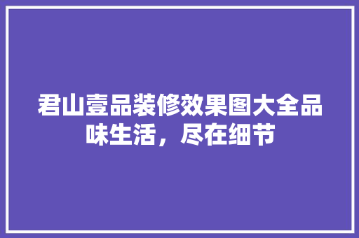 君山壹品装修效果图大全品味生活，尽在细节