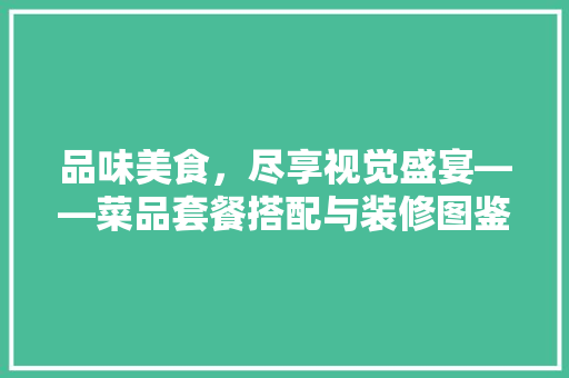 品味美食，尽享视觉盛宴——菜品套餐搭配与装修图鉴赏