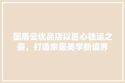 国盾云优品店以匠心独运之姿，打造家居美学新境界