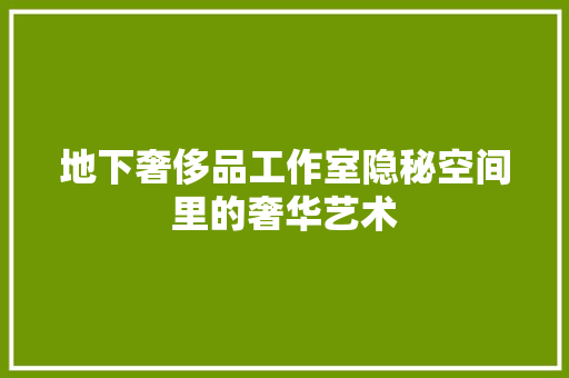地下奢侈品工作室隐秘空间里的奢华艺术