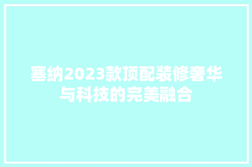 塞纳2023款顶配装修奢华与科技的完美融合
